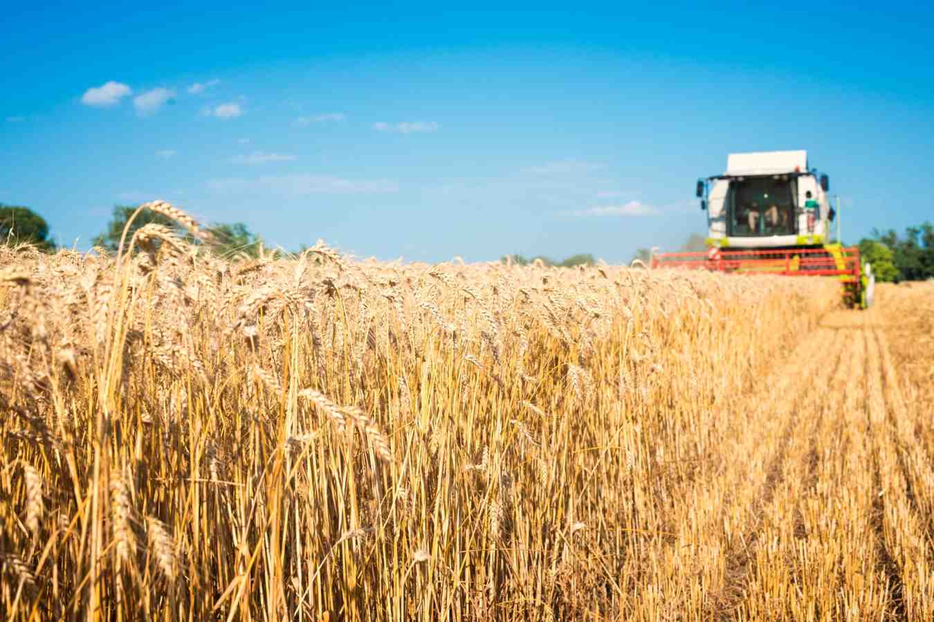 Mesin Panen Padi Combine Harvester Terbaik